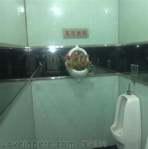 杭州公厕深度揭秘：竟然比五星级酒店还豪华-旅游先遣队-杭州19楼