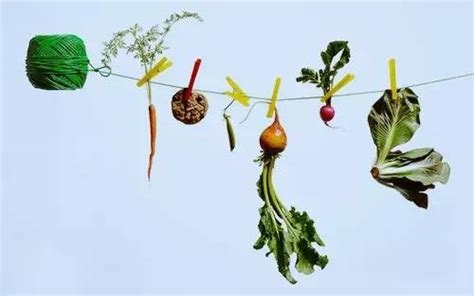 2019最脏蔬果排名，你吃的食物是含农残最高的吗？ - 每日推荐 - iLOHAS乐活社区