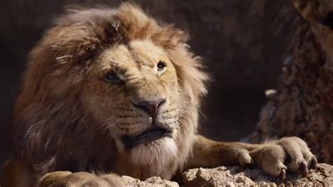 《狮子王》片段：辛巴再入险境 木法沙遭刀疤暗害-电影-最新高清视频在线观看-芒果TV