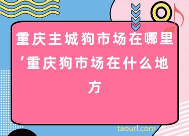 重庆火锅底料批发市场在哪里？_重庆辣火老灶火锅底料厂