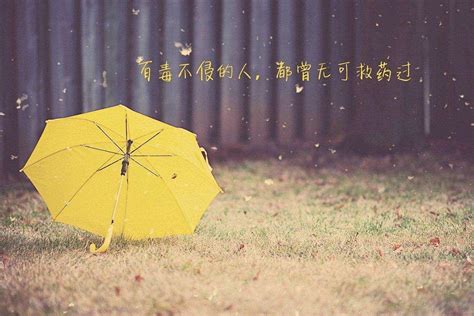 狂飙：不要被徐忠大义凛然的正气骗了，真正的保护伞他根本不敢动__财经头条