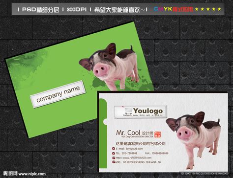养猪名片设计图__名片卡片_广告设计_设计图库_昵图网nipic.com