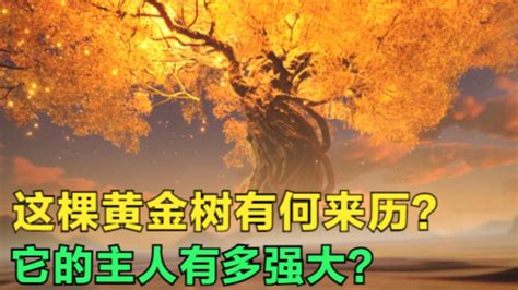 桂林市树是什么树-行业新闻-中国花木网