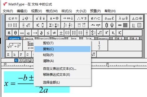 Word2010中如何使用MathType 6.9编辑公式-MathType中文网