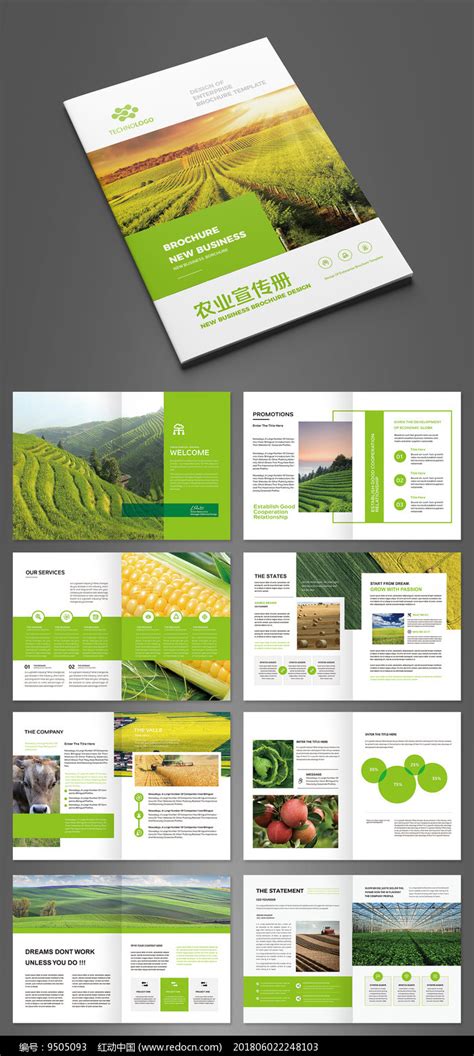 绿色有机农产品销售推广海报设计素材 – 设计小咖
