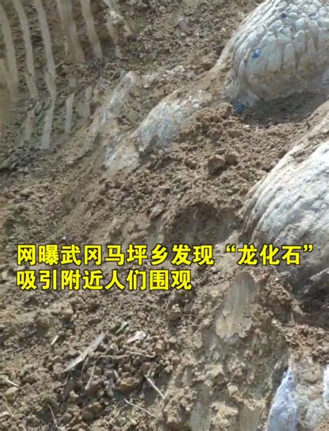 河南村民山洞挖出“龙化石” 专家称为人造(图) 世相万千 烟台新闻网 胶东在线 国家批准的重点新闻网站