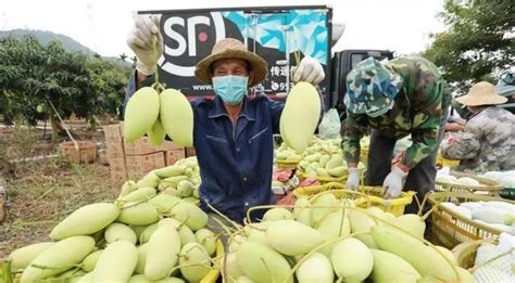 三亚最大水果市场掠影：品种丰富 秩序井然-新闻中心-南海网