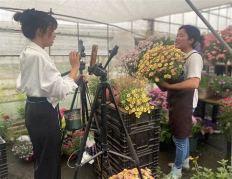 “双11”鲜花行业线上销售发力，直播带货带来新增长 - 花卉图片及名称大全 - 郑州陈砦花卉服务有限公司