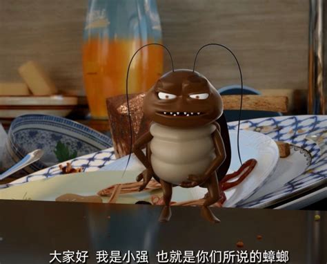打不死的小强活跃季节又到，上海家庭受蟑螂侵扰呈上升趋势！灭蟑螂看这里 - 周到上海