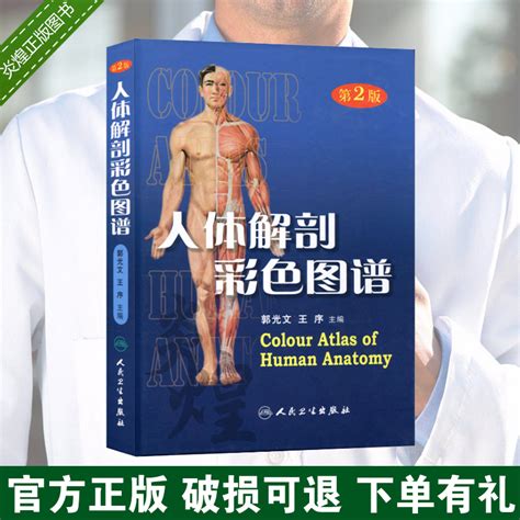 人体解剖学图谱图片