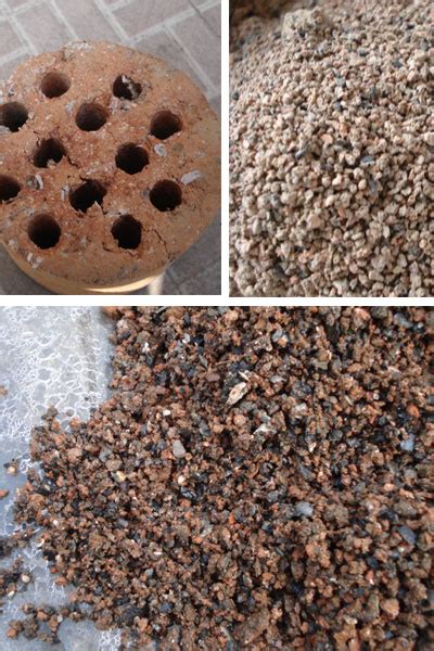 用蜂窝煤土种花可以不 蜂窝煤渣怎么做花土-趣丁网