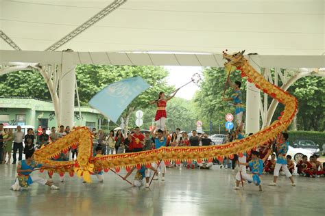 我校舞龙队在上海市学生龙文化全能赛上荣获一等奖 | 上海海事大学
