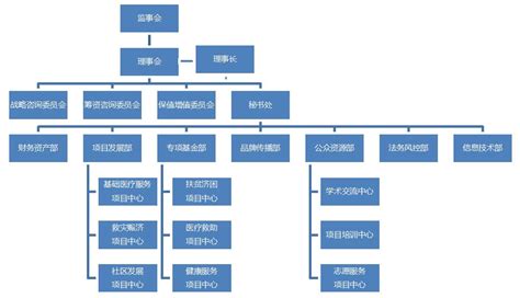组织架构 - 西昌川投大健康科技有限公司