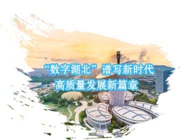 湖北软件产业规模保持中部第一 上半年软件业务收入1170亿 - 长江商报官方网站