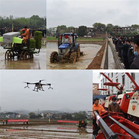江西赣州：数字赋能脐橙产业发展-人民图片网