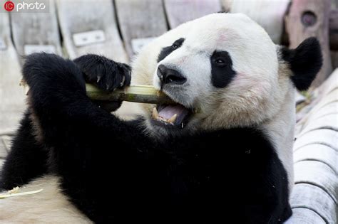 贝备网图片