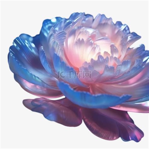节节花的图片