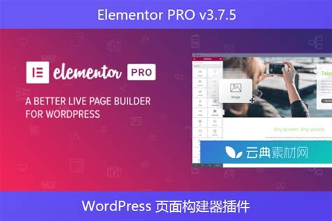 Elementor PRO v3.7.5 – WordPress 页面构建器插件 - 云典网