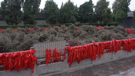 灵草植物园林1000&#215;666666&#215;30图片