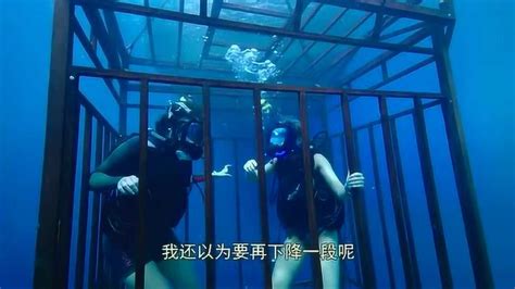 金发美女被老外关在笼子里，沉入海底，鲨鱼们兴奋了_腾讯视频