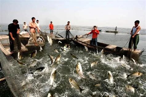 浙江湖州：养殖新模式 渔民乐丰收-人民图片网