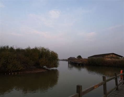 随手拍！去东营黄河入海口，看那片大自然创造奇迹的地方 - 游记攻略【携程攻略】