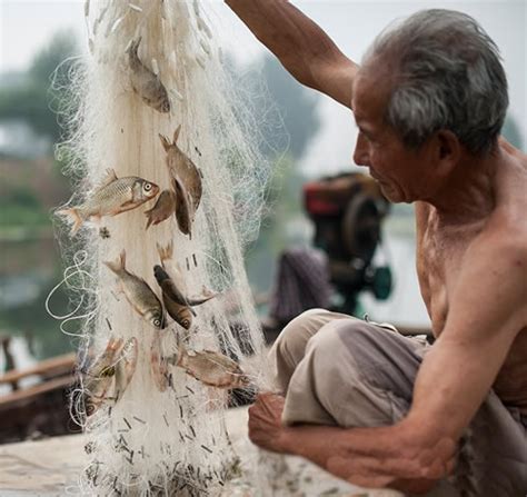 印尼渔民一人一竿海钓鲣鱼，千条大鱼上钩铺满船舱！_凤凰网视频_凤凰网