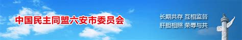 民盟六安市委参加民盟安徽省2023年法治论坛,民盟六安市委参加民盟安徽省2023年法治论坛