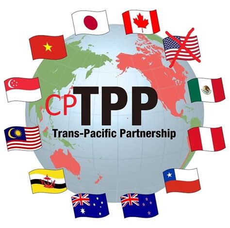 What can RCEP learn from TPP failure? - CGTN