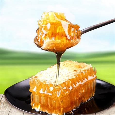 中蜂和意蜂蜜哪个好?中蜂和意大利蜂的蜂蜜哪个好? - 知乎