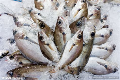 冰上鲜鱼在海壶的码头市场出售高清图片下载-正版图片303341640-摄图网