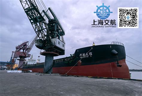 上海海运货代运输集装箱需要注意的事项-森奥国际物流