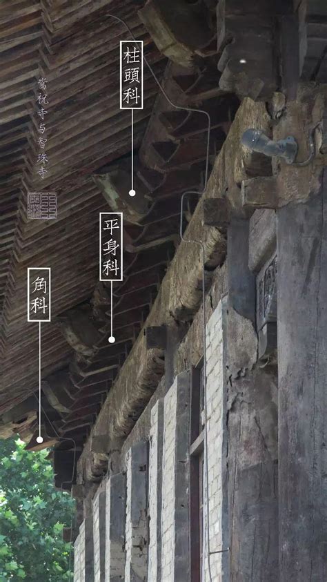 斗拱：最美的建筑构件（2月）|云南省文物考古研究所