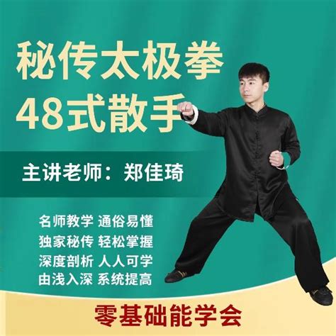 秘传太极拳48式散手套路精讲教学-淘宝网