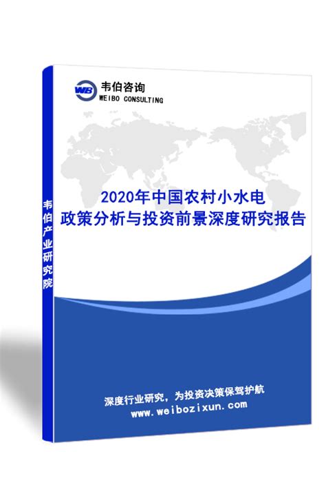 2020年中国农村小水电政策分析与投资前景深度研究报告