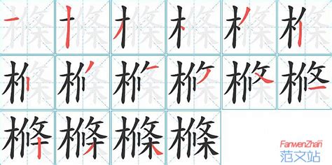 樤的笔顺_汉字樤的笔顺笔画 - 笔顺查询 - 范文站