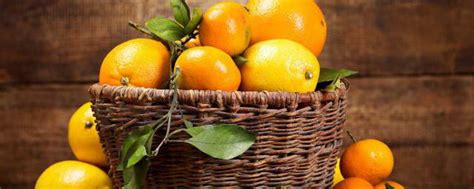 橘子属于凉性还是热性 橘子属于温性对吗_知秀网