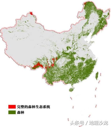 2035年实现美丽中国森林覆盖率26%的目标，每年须造林任务1亿亩_绿化