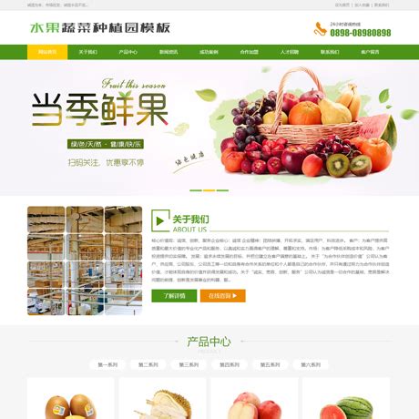食品果蔬网站_饮料网站_日用网站模板_网站模板库