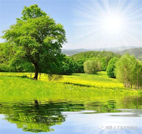 的图片