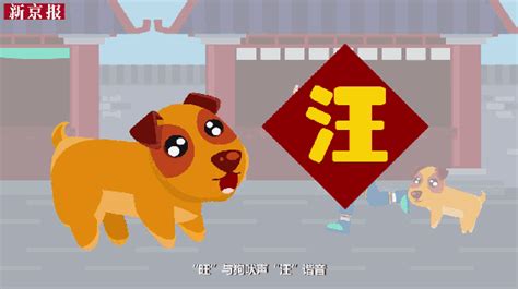 纯种广东五红狗，旺家旺财，可惜已濒临灭绝！