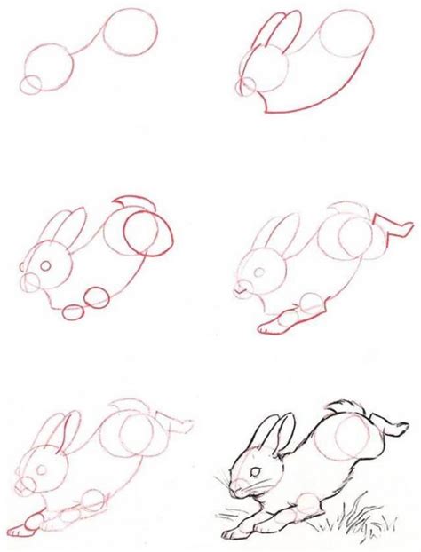 卡通小兔子简笔画怎么画带步骤涂色 - 丫丫小报