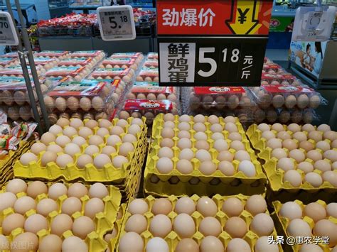 2017年12月26日全国各地鸡蛋价格行情汇总