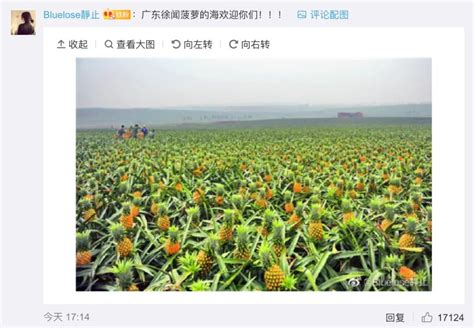 大陆暂停进口台湾菠萝 美日所谓“最坚实盟邦”对台湾求助置若罔闻_凤凰网