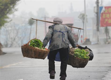 百岁留守老人冒雨步行一小时去卖菜，佝偻的背影让人动容！|卖菜|背影|奶奶_新浪新闻