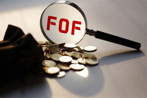 了解FOF基金看这篇就够了：FOF基金全网最全攻略 - 知乎