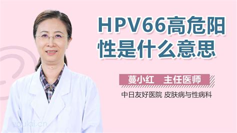 HPV66阳性是什么意思-有来医生