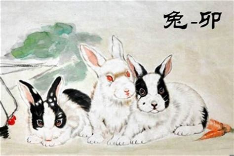 2023年87年属兔的运势，属兔人遇到虎年怎么样_生肖_若朴堂文化