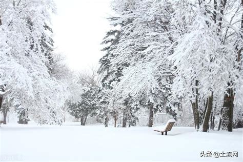 冬天大雪下雪女孩站在雪地插画图片-包图网