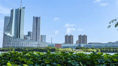 合肥肥东县政务服务中心-上海华都建筑规划设计-办公建筑案例-筑龙建筑设计论坛